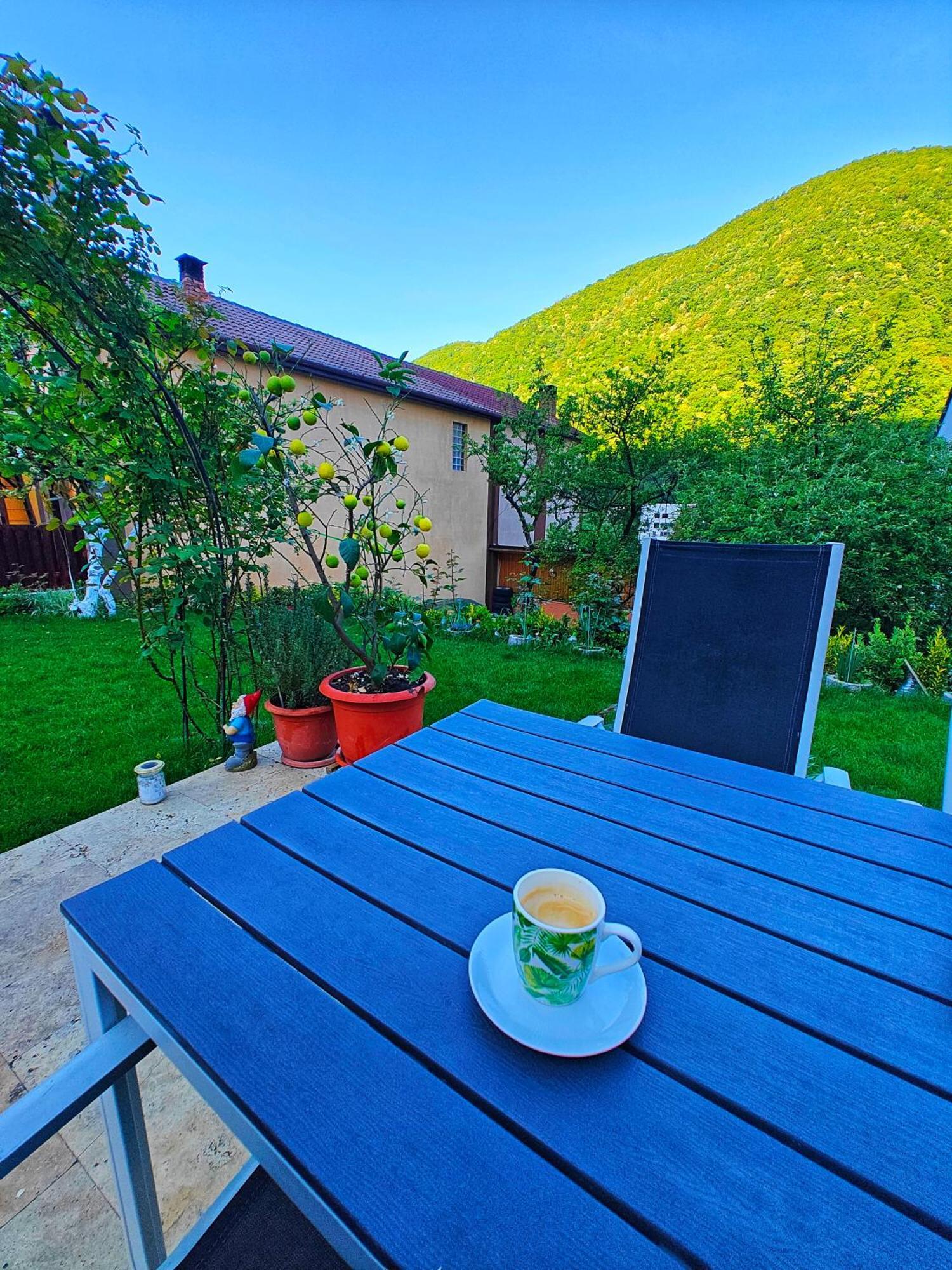 Apartamento Casa Miclau Băile Herculane Exterior foto