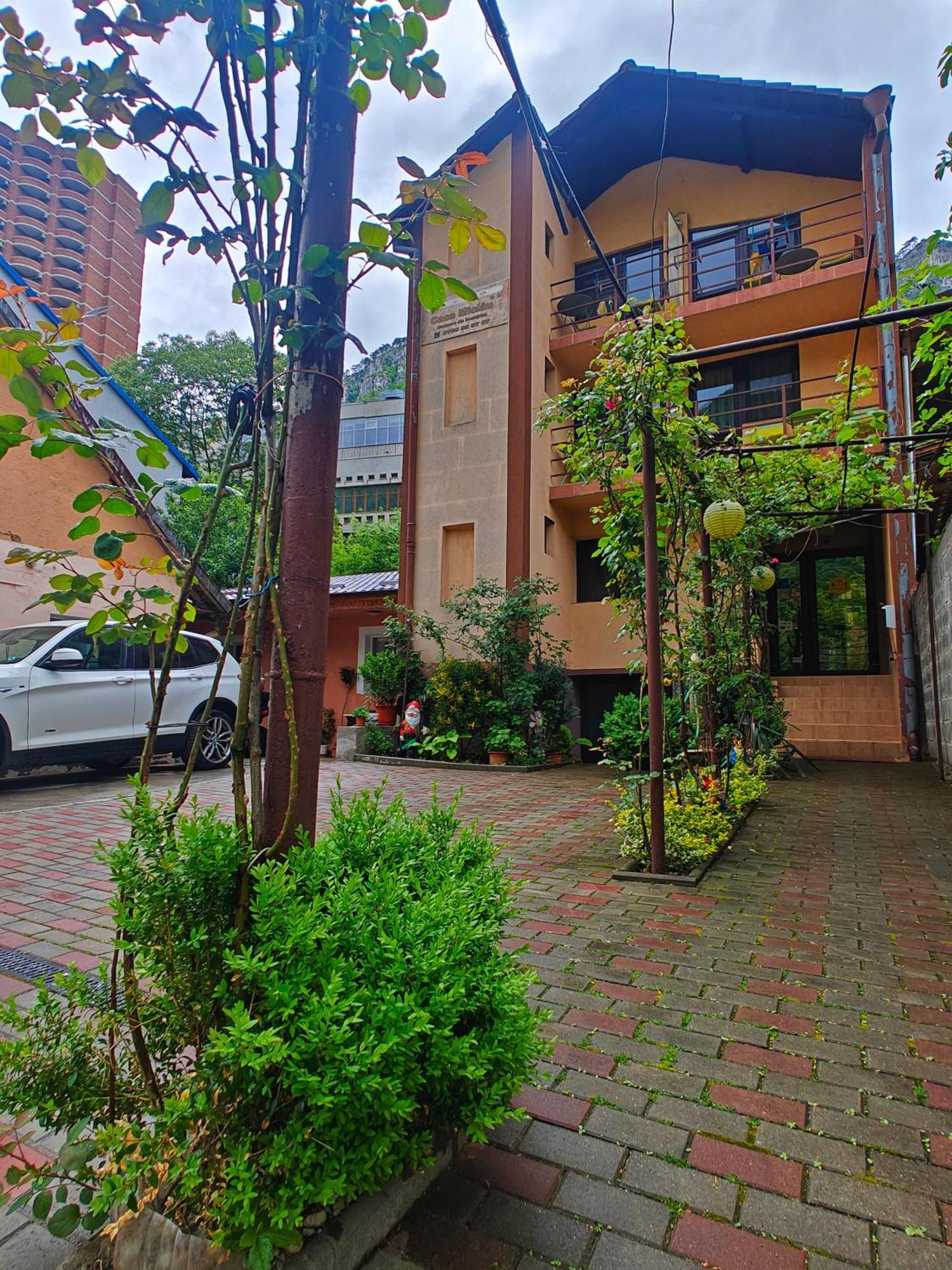 Apartamento Casa Miclau Băile Herculane Exterior foto
