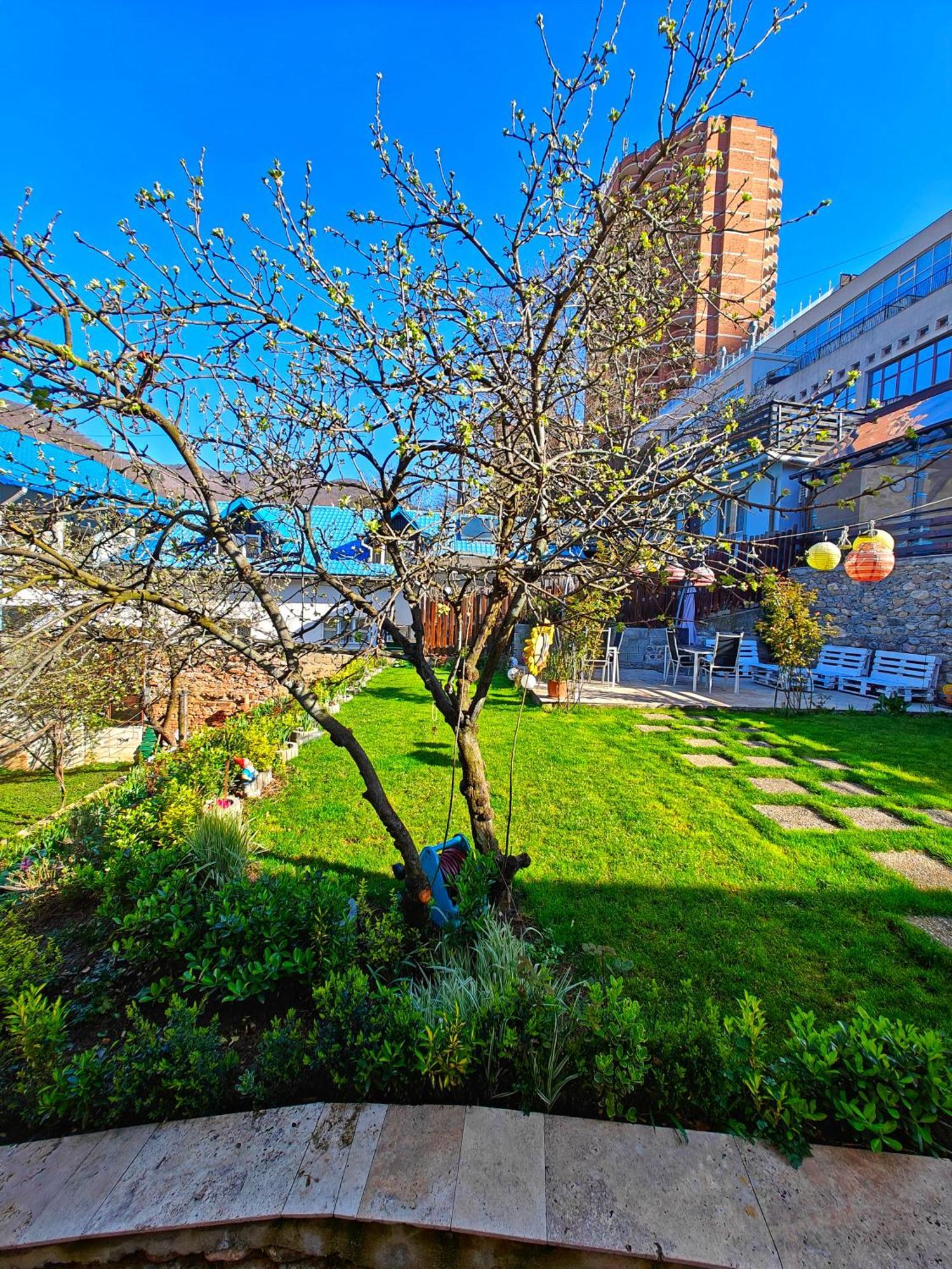 Apartamento Casa Miclau Băile Herculane Exterior foto