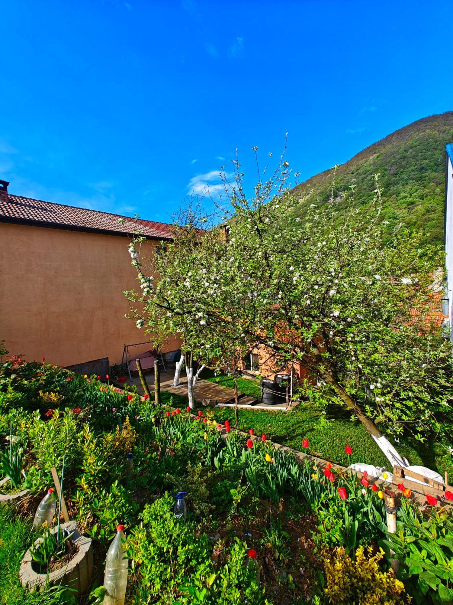 Apartamento Casa Miclau Băile Herculane Exterior foto