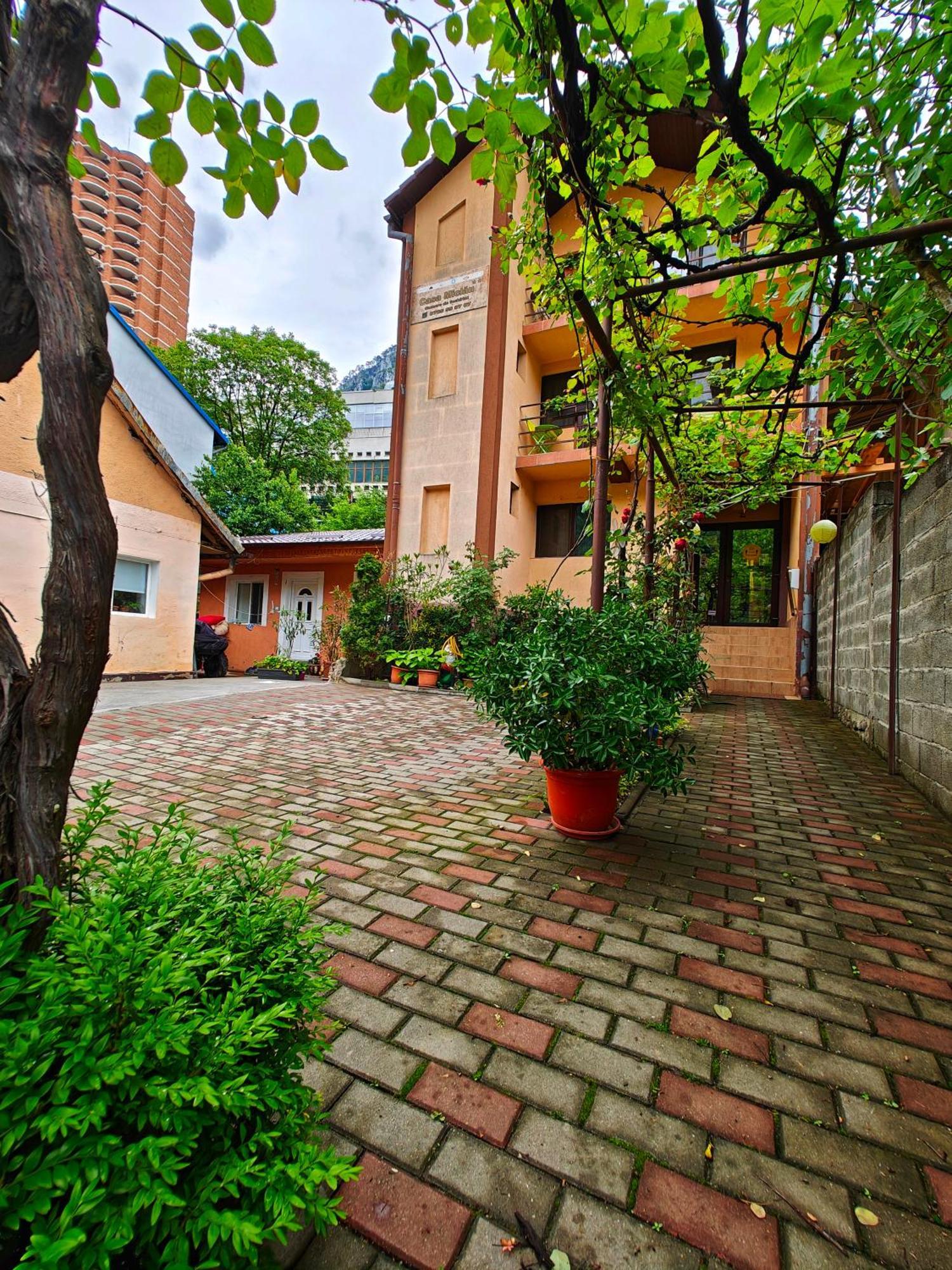 Apartamento Casa Miclau Băile Herculane Exterior foto