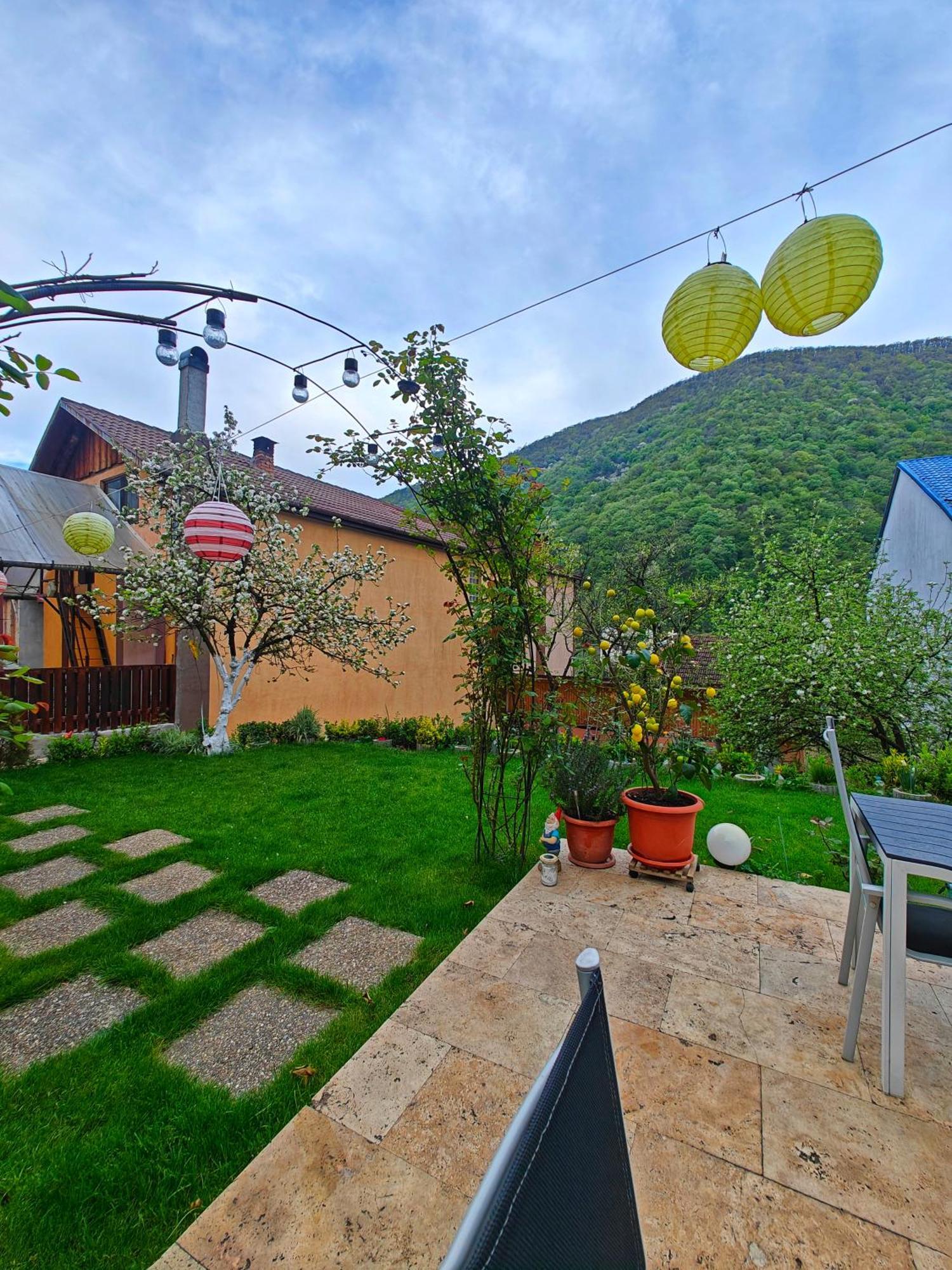 Apartamento Casa Miclau Băile Herculane Exterior foto