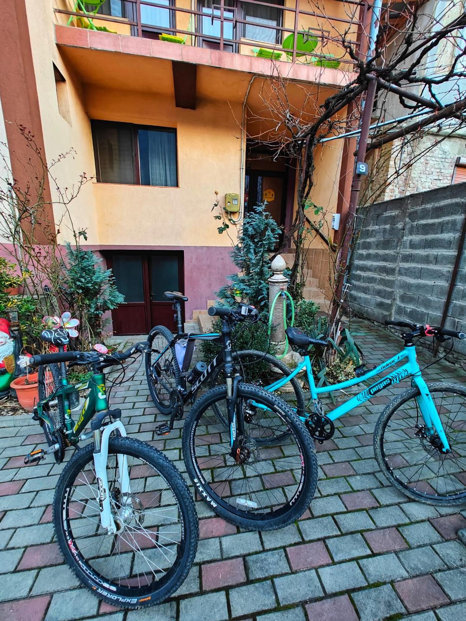 Apartamento Casa Miclau Băile Herculane Exterior foto