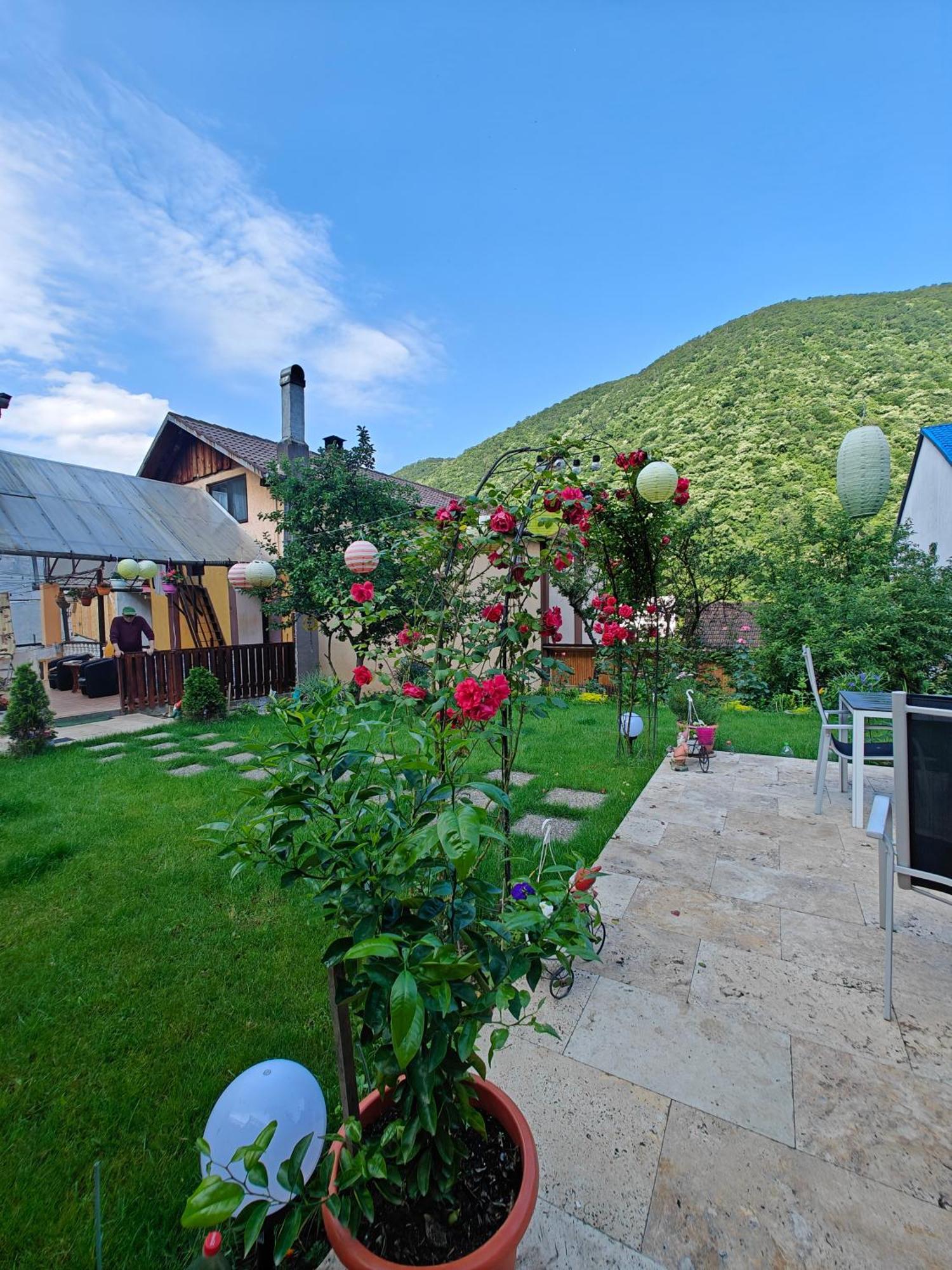 Apartamento Casa Miclau Băile Herculane Exterior foto